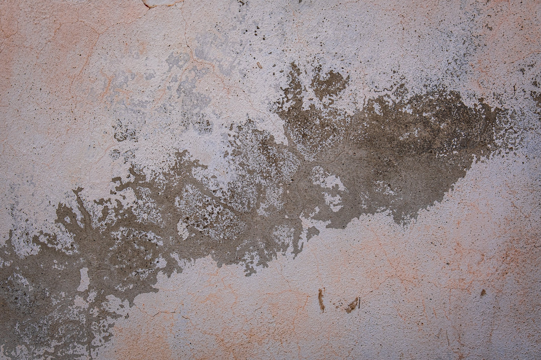 What Makes Paint Fade? Causes and Prevention Tips