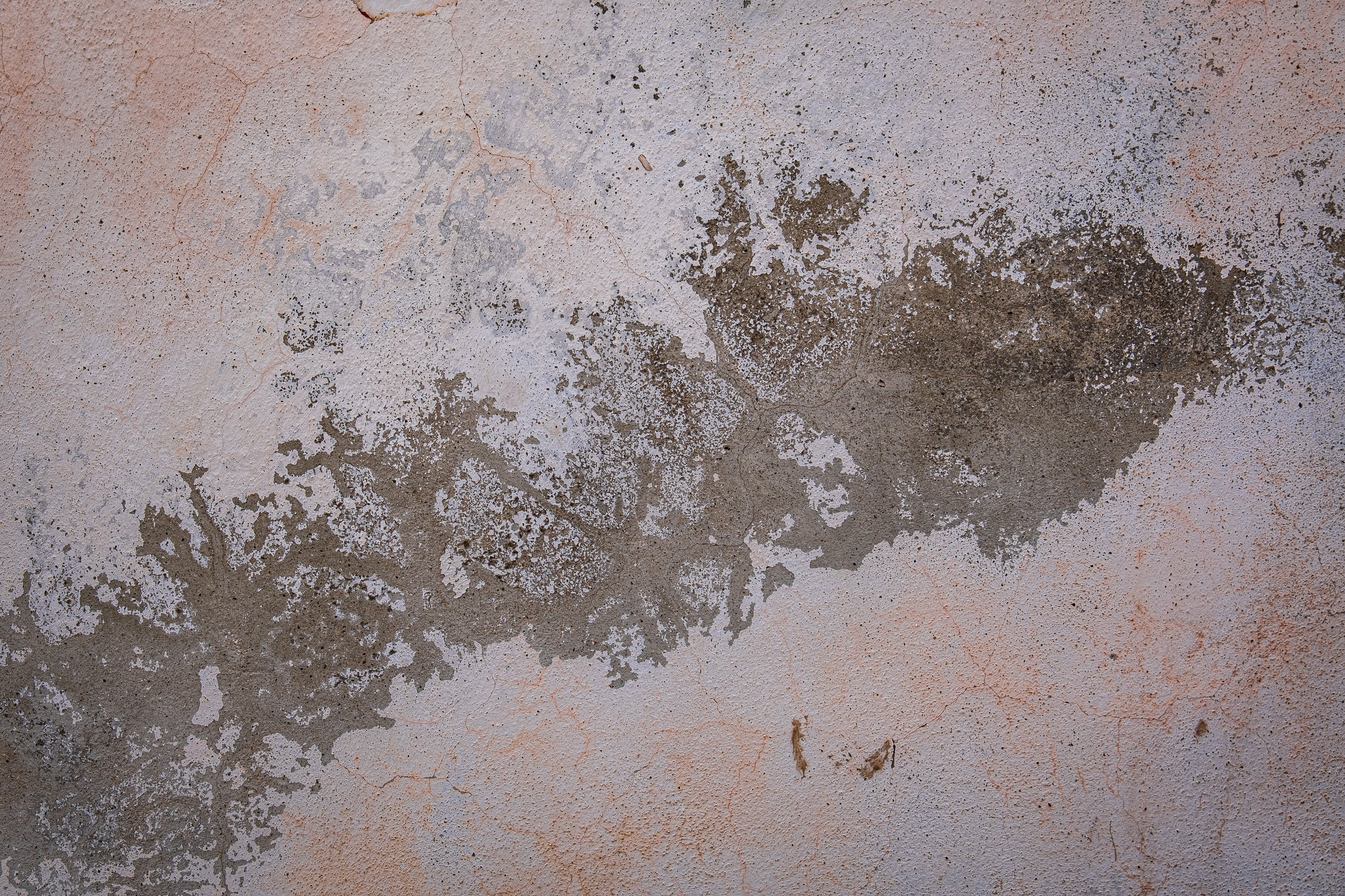 What Makes Paint Fade? Causes and Prevention Tips