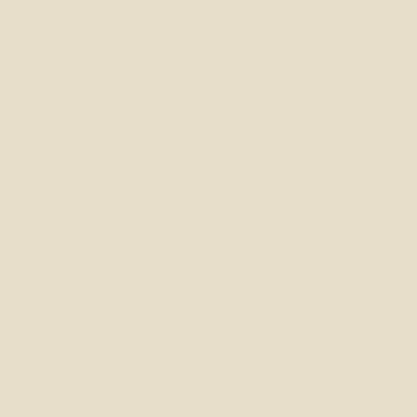 paint stores